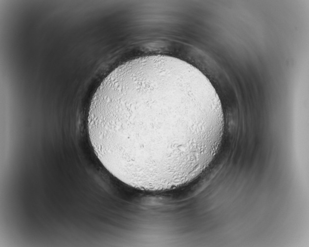 X0000093500408200711091707