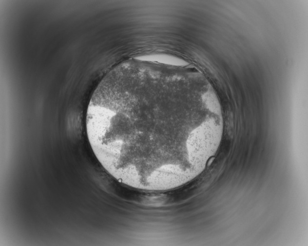 X0000093500410200711091706