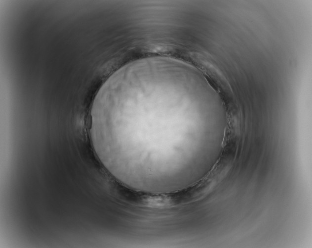 X0000093500415200711091706