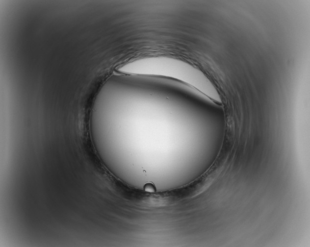 X0000093500416200711091706