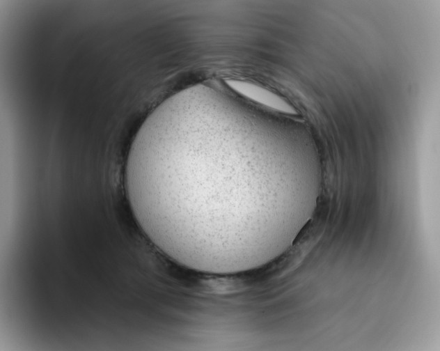 X0000093500417200711091706