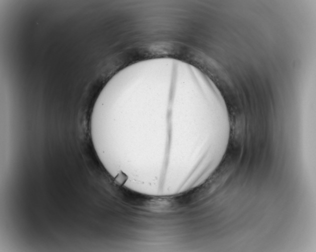 X0000093500418200711091706