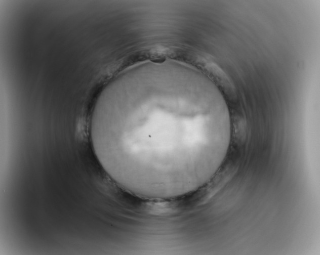 X0000093500419200711091706