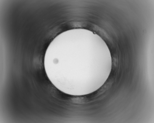 X0000093500422200711091706