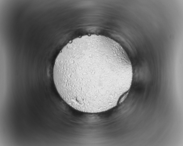 X0000093500424200711091706