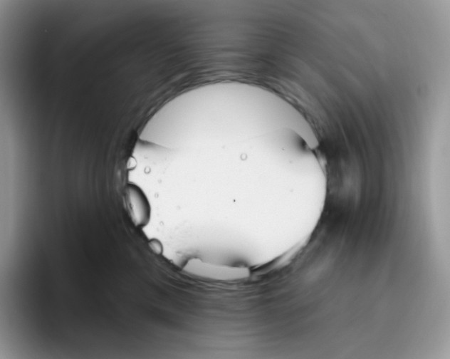 X0000093500425200711091706