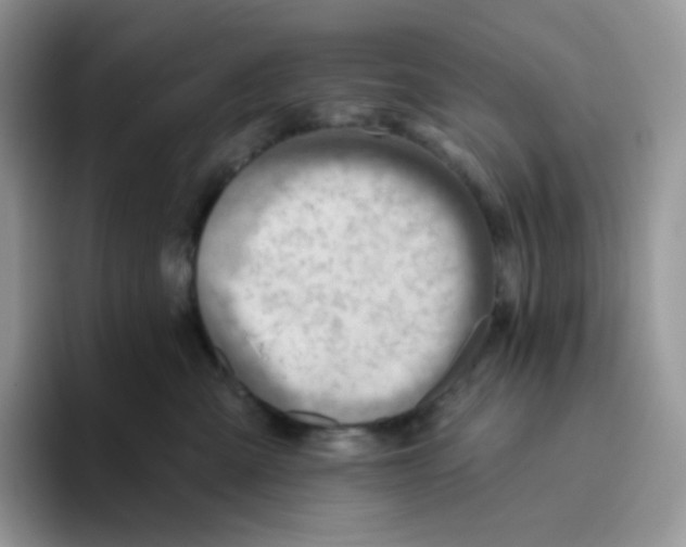 X0000093500427200711091706