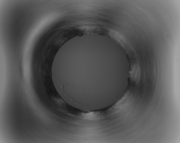 X0000093500430200711091706