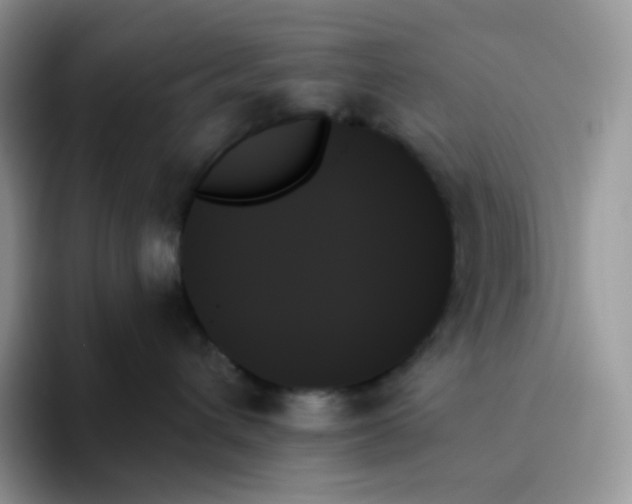 X0000093500432200711091706