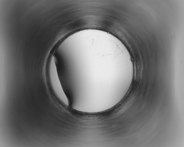 X0000093500435200711091706