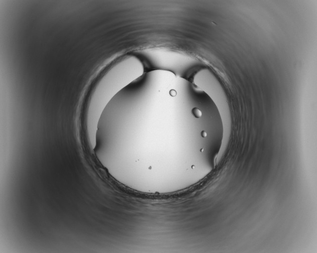 X0000093500436200711091706