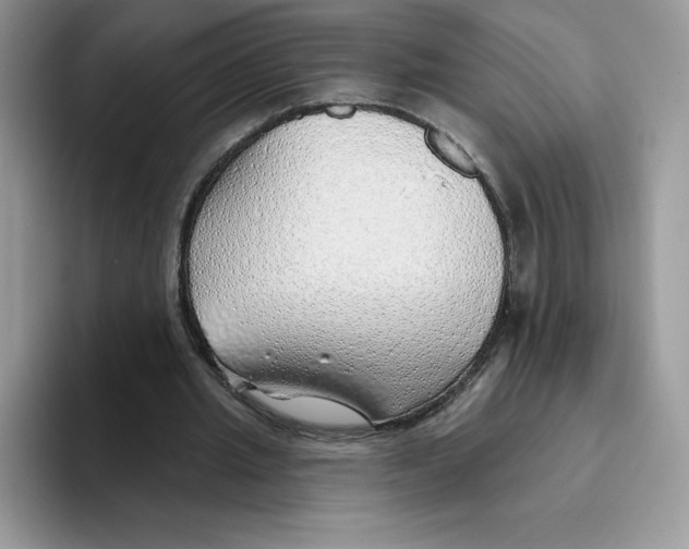 X0000093500437200711091706