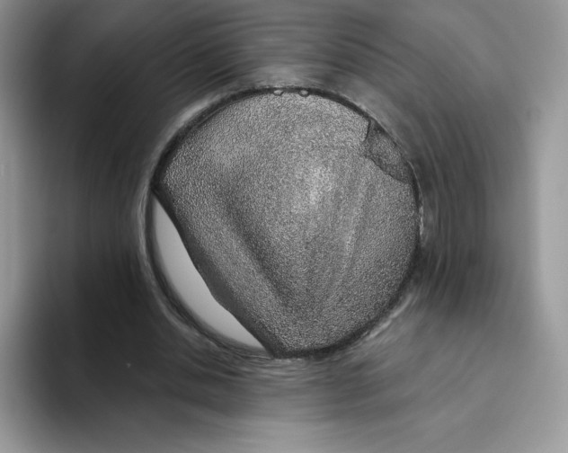 X0000093500438200711091706