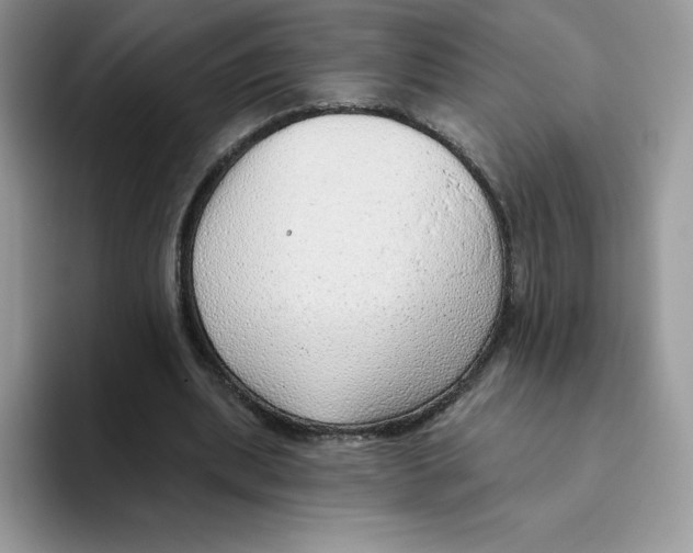 X0000093500439200711091706