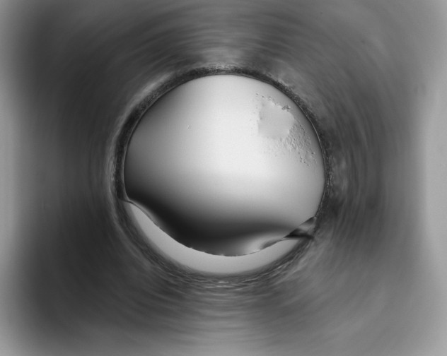 X0000093500440200711091706