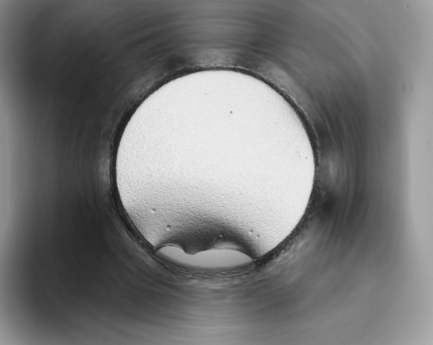 X0000093500441200711091706