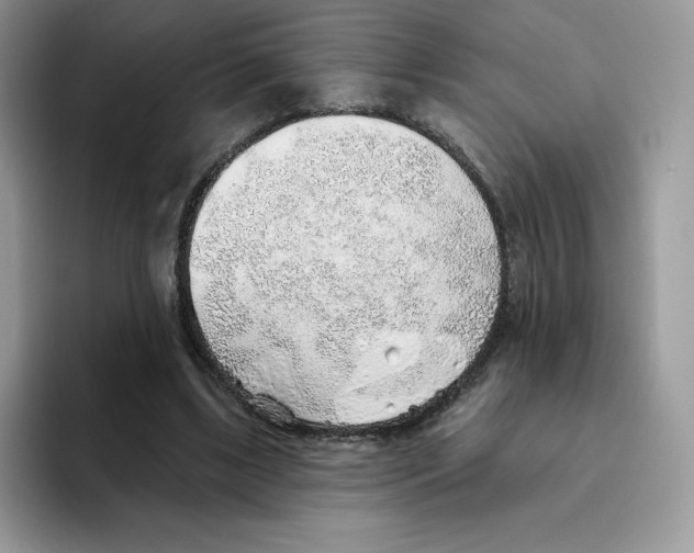 X0000093500443200711091706