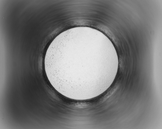 X0000093500445200711091706