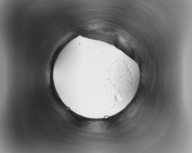 X0000093500446200711091706