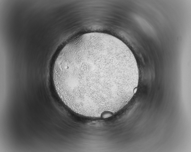 X0000093500447200711091706