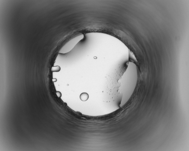 X0000093500448200711091706