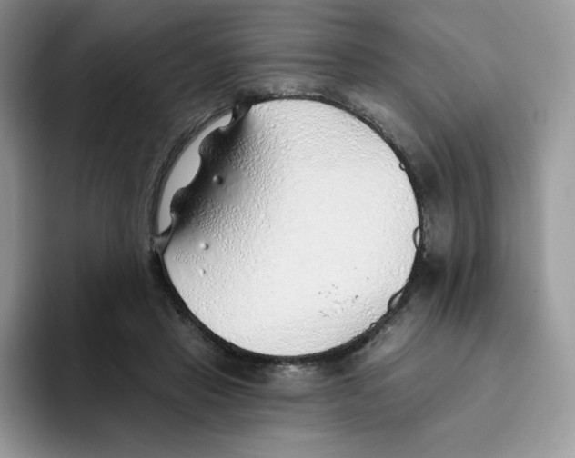 X0000093500453200711091706