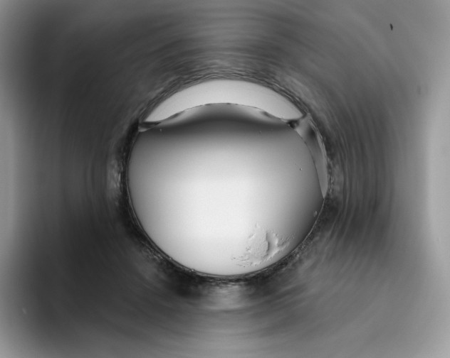 X0000093500456200711091706