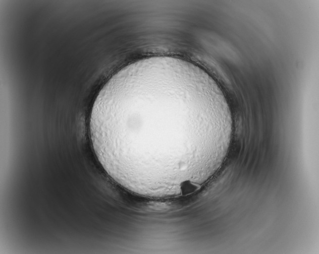 X0000093500457200711091706