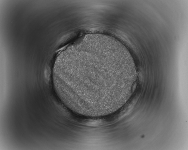 X0000093500458200711091706