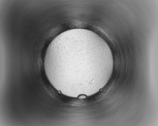 X0000093500459200711091706