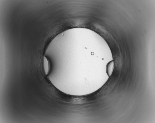 X0000093500461200711091706