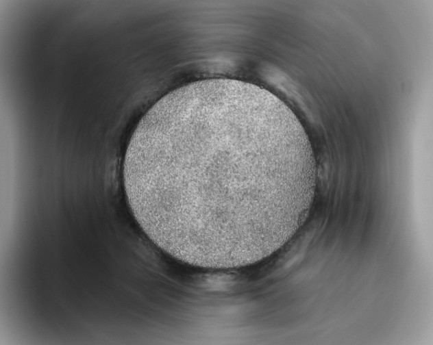 X0000093500462200711091706