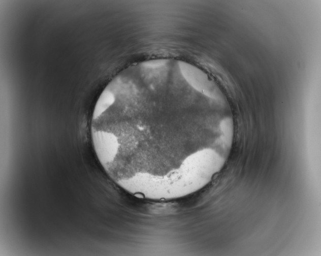 X0000093500465200711091706