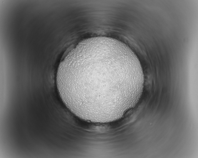 X0000093500466200711091706