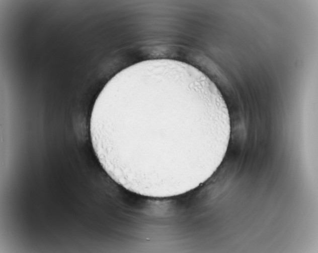 X0000093500469200711091706