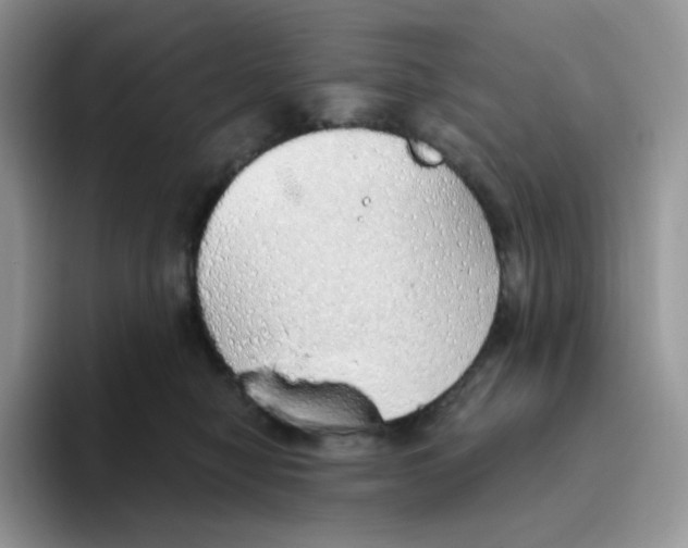 X0000093500470200711091706