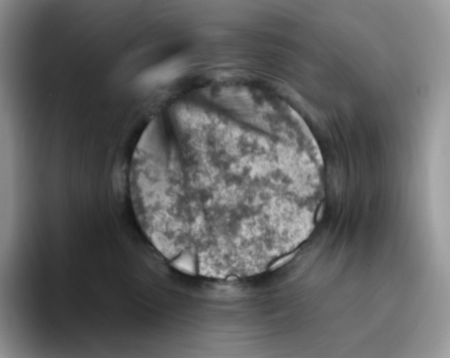 X0000093500475200711091706