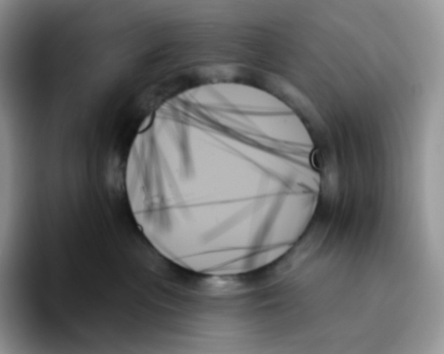 X0000093500477200711091706