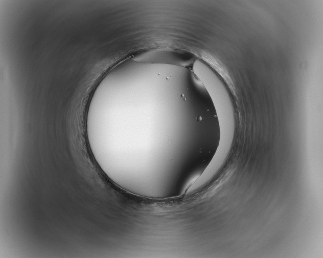 X0000093500481200711091706