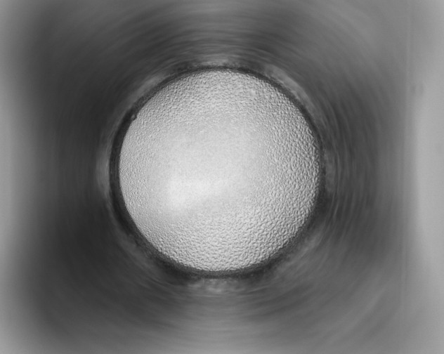 X0000093500482200711091706