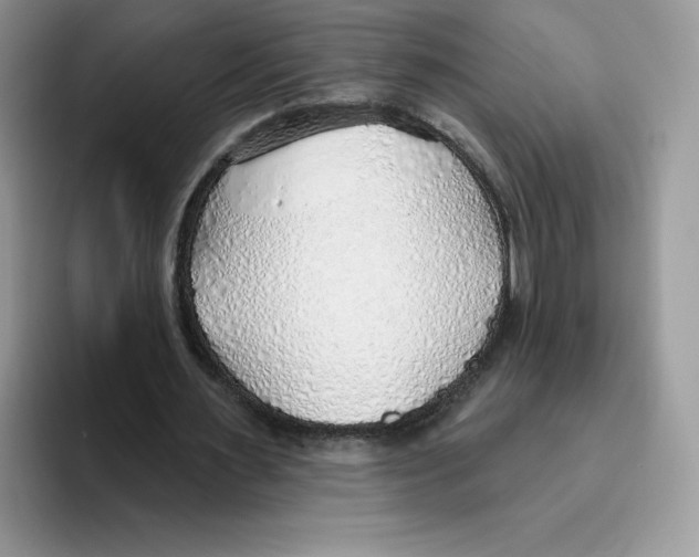 X0000093500483200711091706