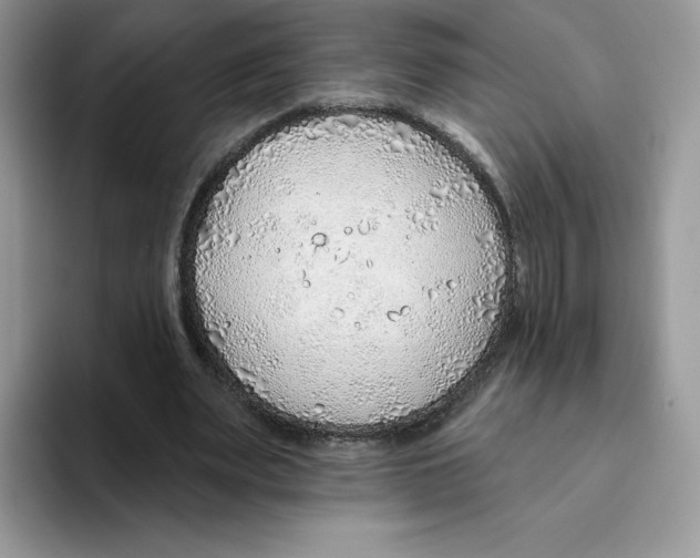 X0000093500487200711091706