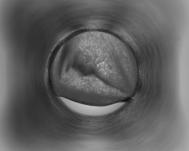 X0000093500488200711091706