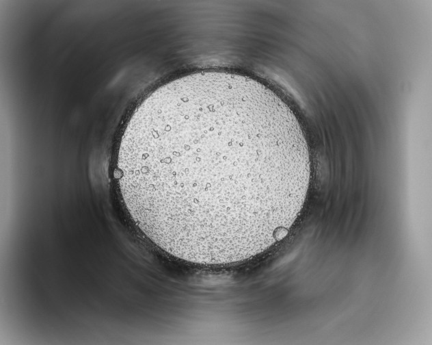 X0000093500491200711091706