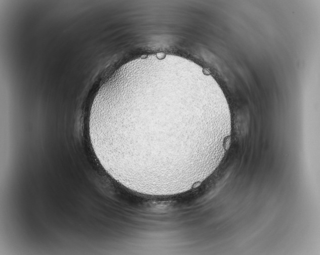 X0000093500495200711091706