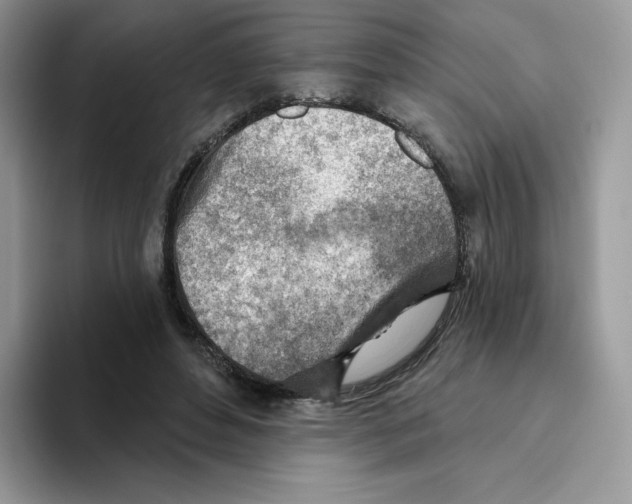 X0000093500496200711091705