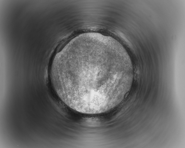 X0000093500500200711091705