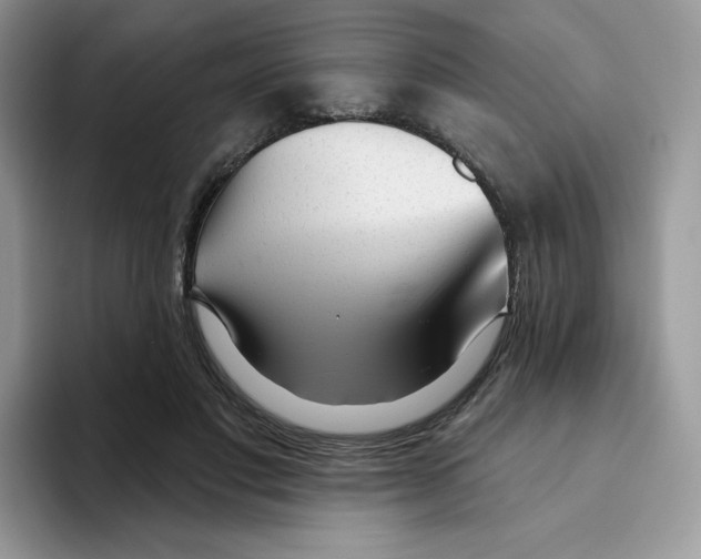 X0000093500501200711091705