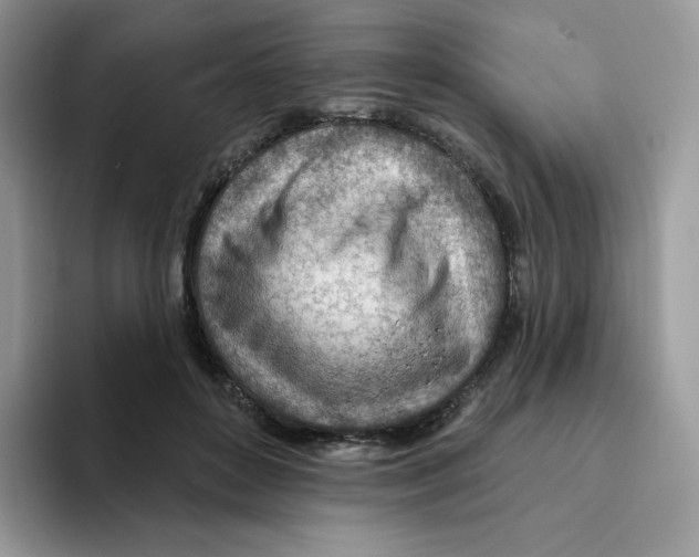 X0000093500504200711091705