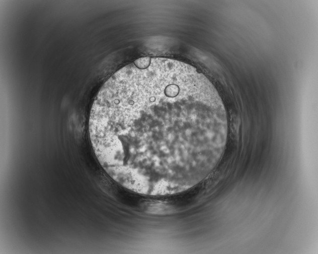 X0000093500507200711091705